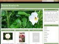 http://rosen-kontor.de