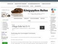 http://www.koenigspython-haltung.de