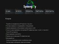 http://synergity.com.ua/services