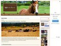 http://www.welt-der-pferde.de