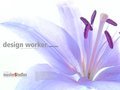 http://www.design-worker.de