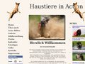 http://www.cm-haustierfotografie.de