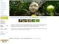 http://www.atelierwenzel.de
