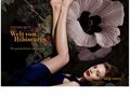 http://www.hibiscarin.com