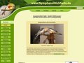 http://www.nymphensittichseite.de