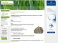 http://www.lavasteine.de