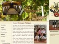 http://www.weingut-philippi.de