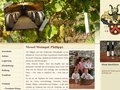 http://www.weingut-philippi.de