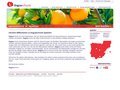 http://www.linguaschools.de/sprachschule-sprachkurse-spanien