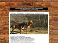 http://www.hunde-freiraum.de