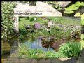 http://www.gartenteich-wissen.de