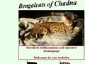 http://www.bengal-katzen.eu